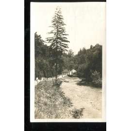 Skuhrov nad Bělou, Rychnov nad Kněžnou