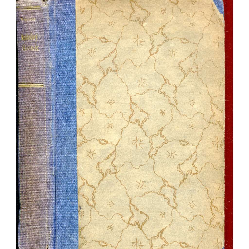 Netečný divák a jiné prósy