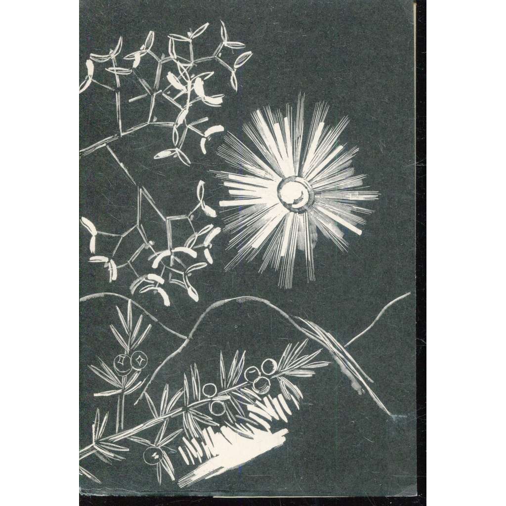 Novoroční gratulace 1924-1936 (1x grafika Antonín Strnadel - dřevoryt)