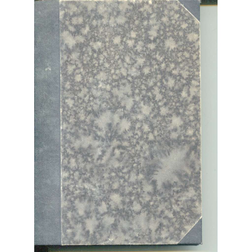 Úkoly naší obrany. Politik a armáda