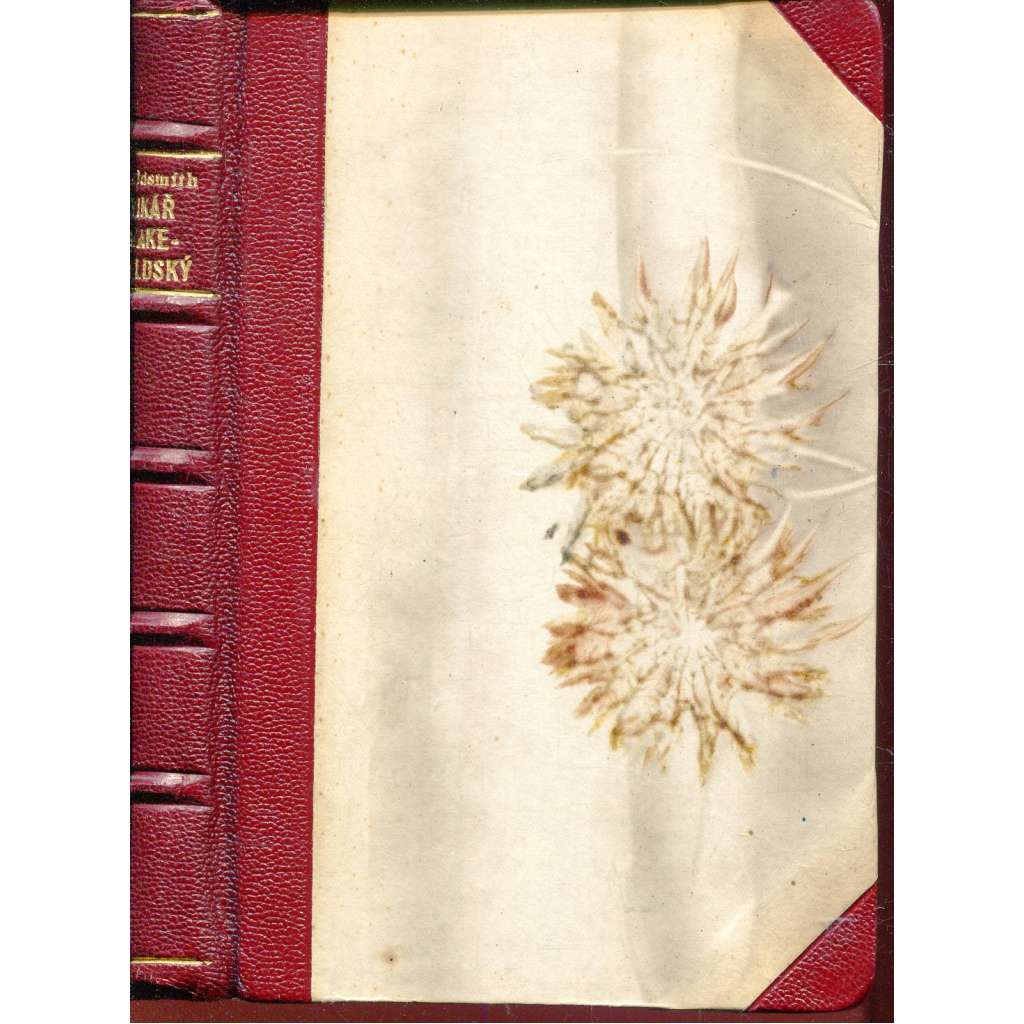 Vikář Wakefieldský (vazba kůže - polokožená) Vikář Wakefieldský (vazba kůže - polokožená)