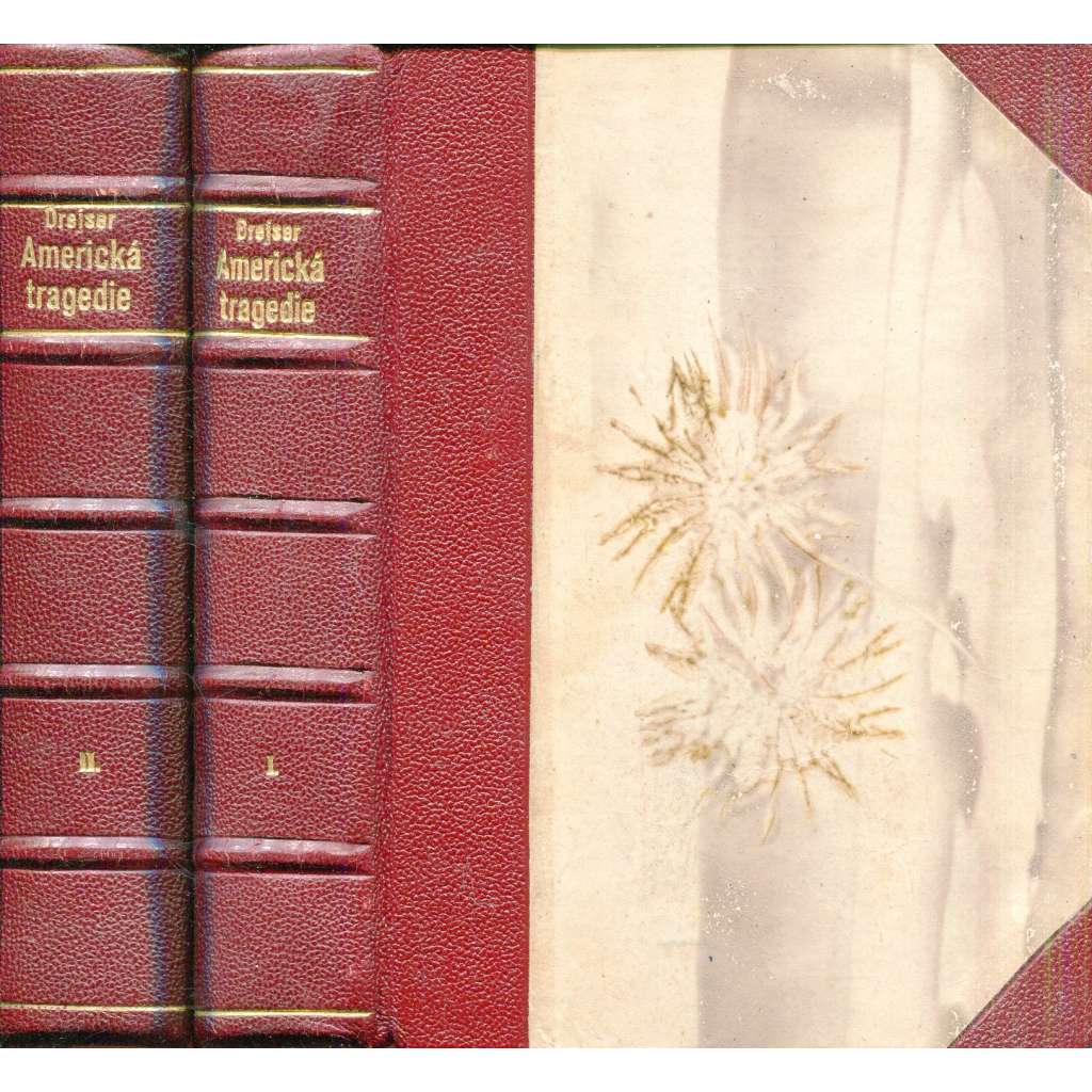 Americká tragedie I. a II. (2 svazky) - (vazba kůže - polokožená)