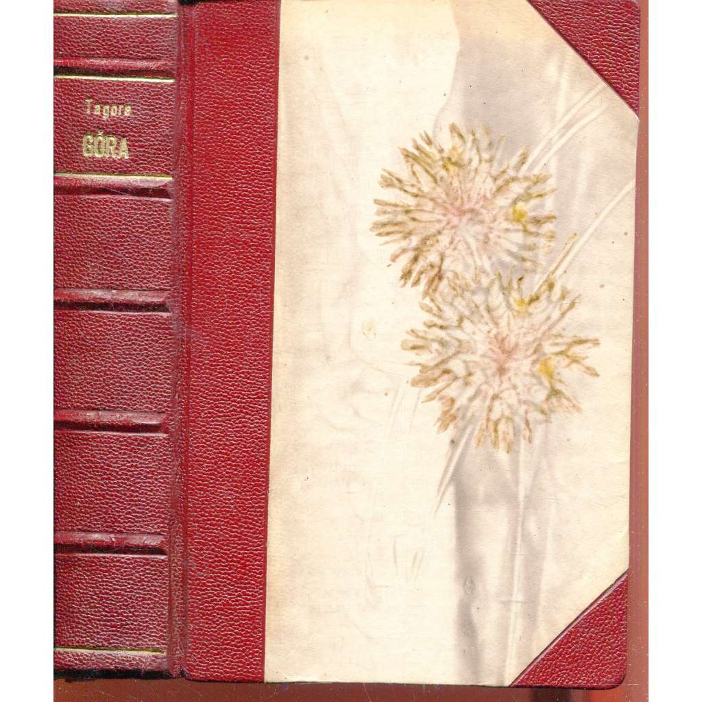 Góra (vazba kůže - polokožená) Góra (vazba kůže - polokožená)