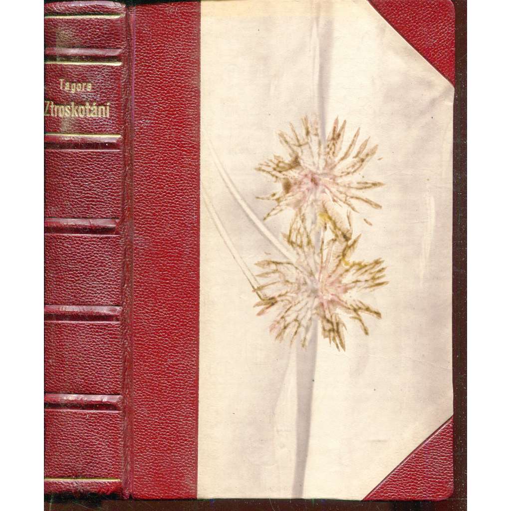 Ztroskotání (vazba kůže - polokožená)