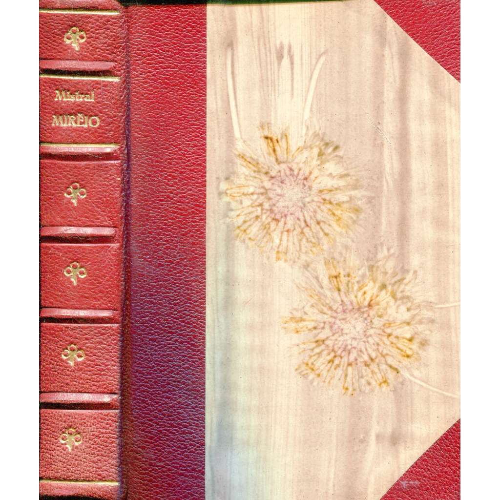 Mirèio (vazba kůže - polokožená)