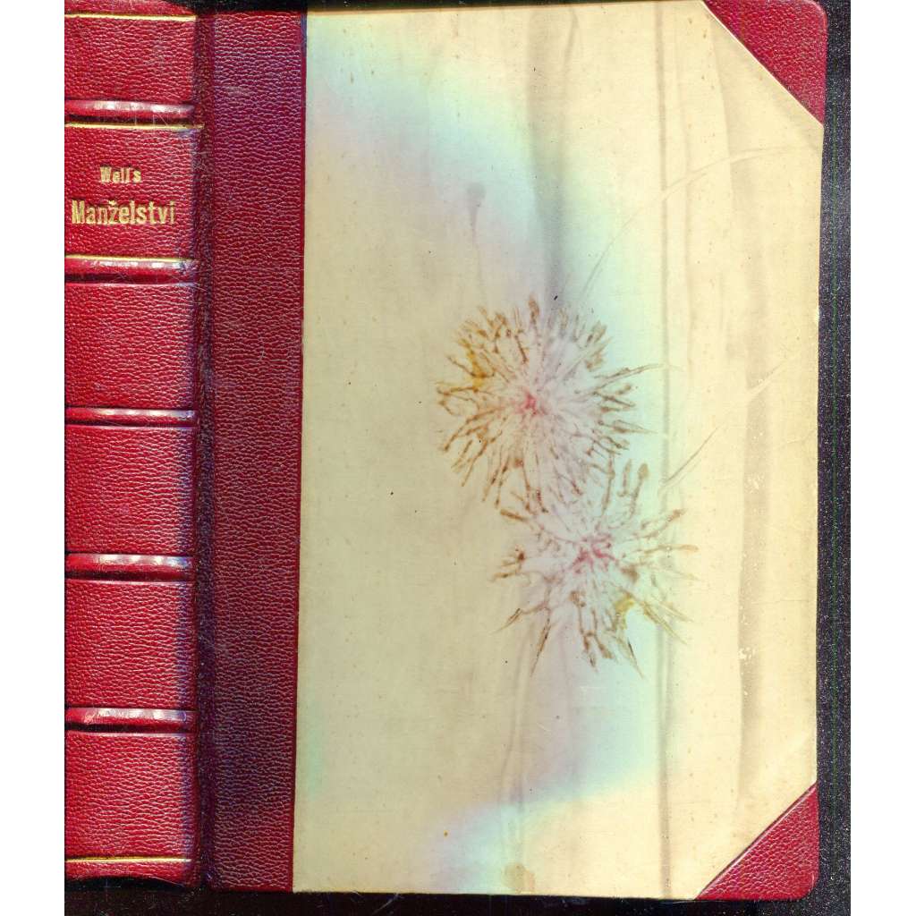 Manželství (vazba kůže - polokožená)