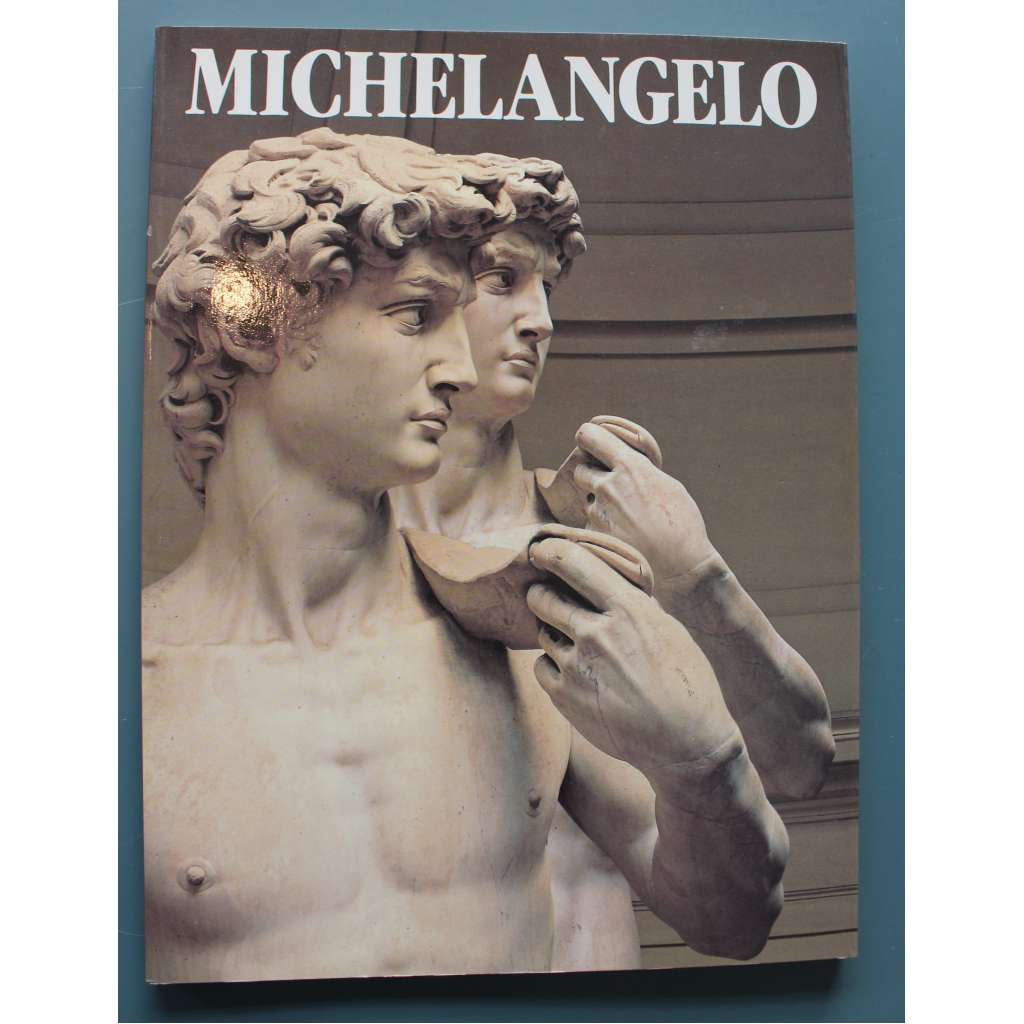 Michelangelo Buonarotti (malířství, sochařství, kresba, renesance, mj. David, Sixtinská kaple, Pieta)
