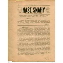 Naše snahy, ročník I., číslo 1. (3.8.1895) / Naše snaha, ročník I., číslo 1. (19.7.1895) - noviny, časopis, Slaný