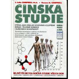 Čínská studie