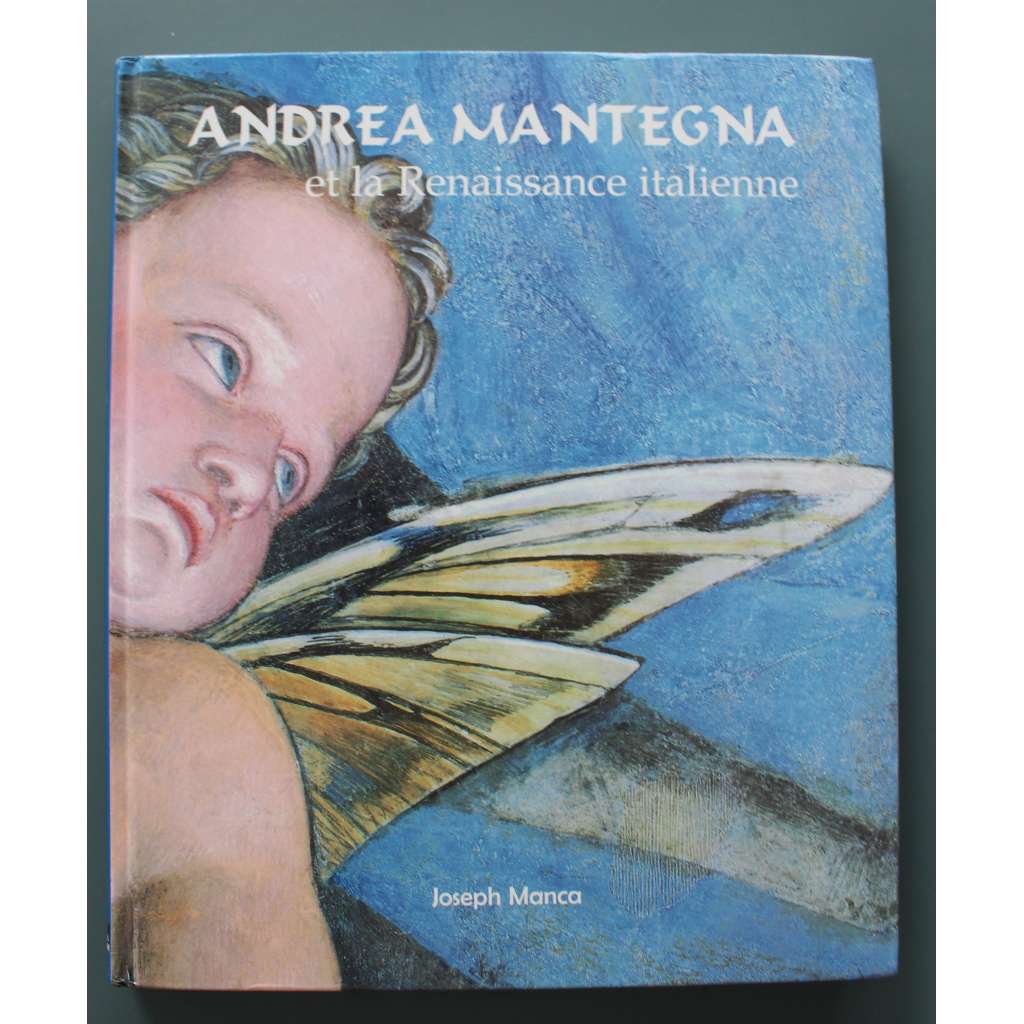 Andrea Mantegna et la Renaissance italienne (Andrea Mantegna a italská renesance, malířství, Padova, Mantova)