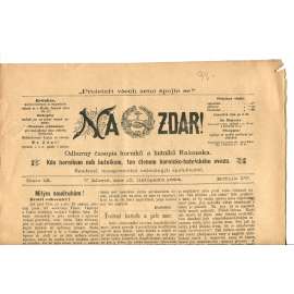 NA ZDAR! Odborný časopis horníků a hutníků Rakouska. Ročník IV., číslo 19. (10.11.1894) [časopis, hornictví, noviny]