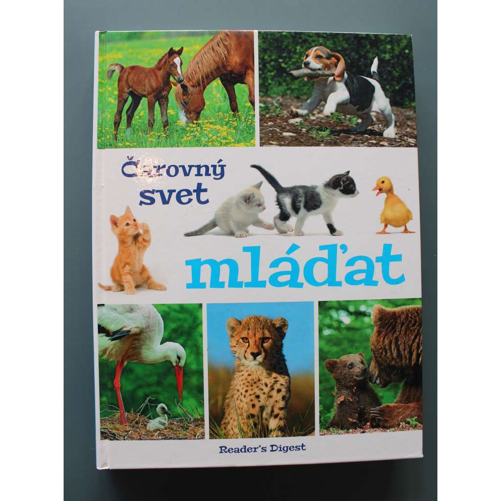 Čarovný svet mlád'at (Čarovný svět mlád'at, příroda, zoologie, fotografie) Čarovný svet mlád'at (Čarovný svět mlád'at, příroda, zoologie, fotografie)