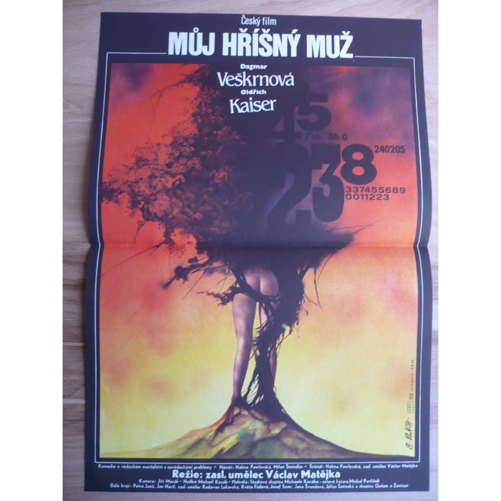 Můj hříšný muž (filmový plakát, film ČSSR 1986, režie Václav Matějka, Hrají: Dagmar Havlová, Oldřich Kaiser, Jan Hartl, Petra Janů)