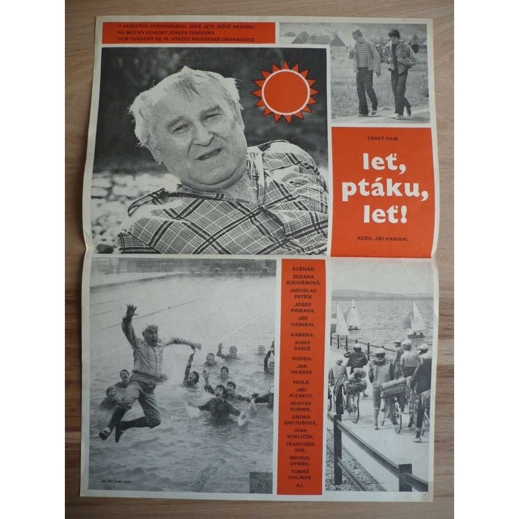 Leť, ptáku, leť! (filmový plakát, film ČSSR 1978, režie Jiří Hanibal, Hrají: Jiří Pleskot, Gustav Bubník, Jindra Bartošová)