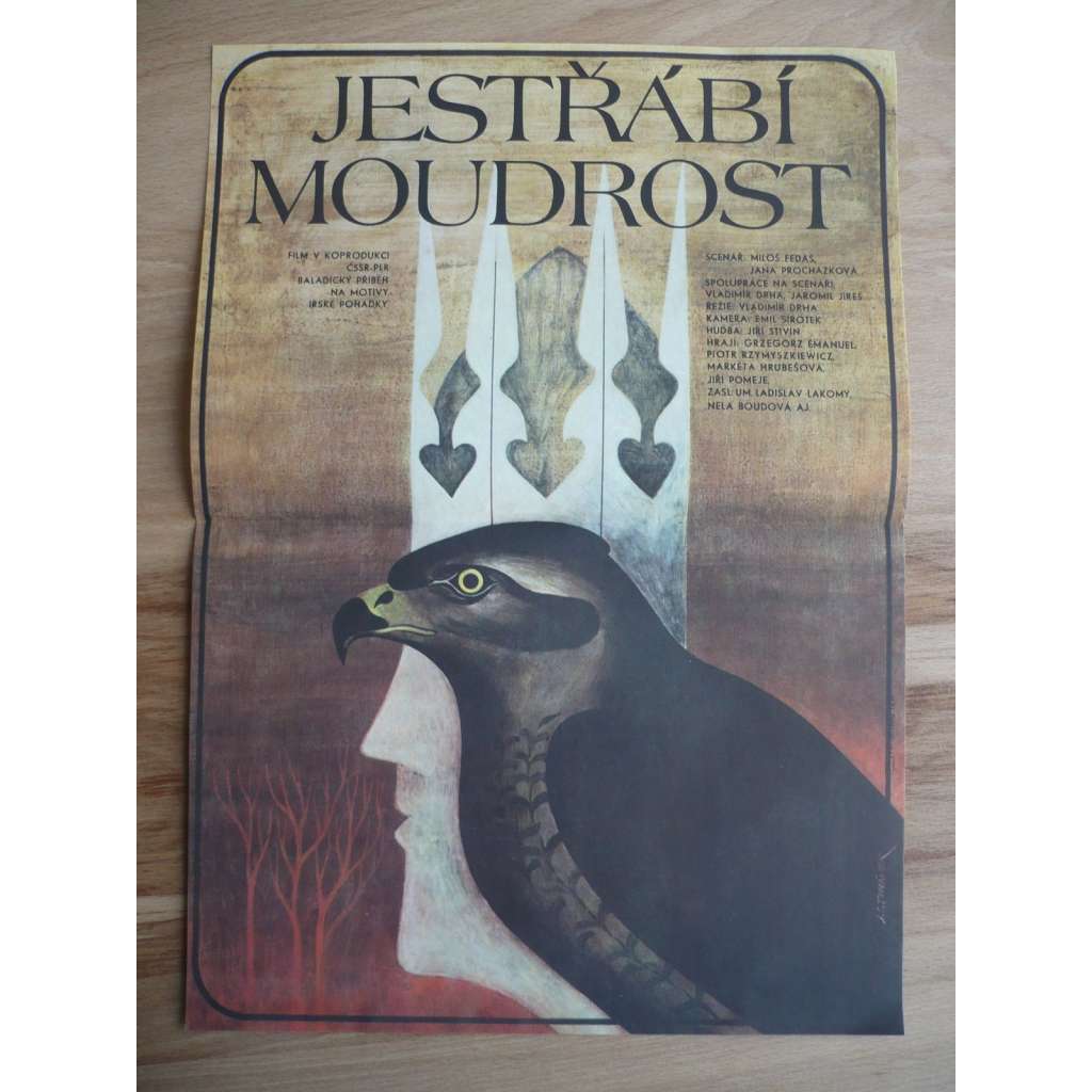 Jestřábí moudrost (filmový plakát, film ČSSR-Polsko 1989, režie Vladimír Drha, Hrají: Markéta Hrubešová, Jiří Pomeje, Piotr Rzymyszkiewicz)
