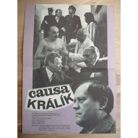 Causa Králík (filmový plakát, film ČSSR 1979, režie Jaromil Jireš, Hrají: Marie Brožová, Miloš Kopecký, Jaroslav Satoranský)