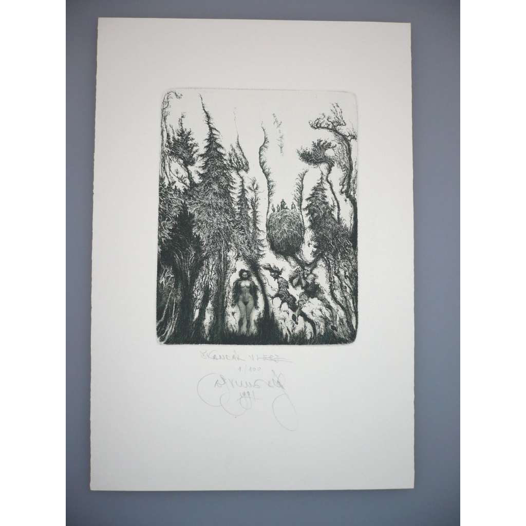 Albín Brunovský (1935-1997) - Škandál v lese(1991) - grafika (lept, podpis)