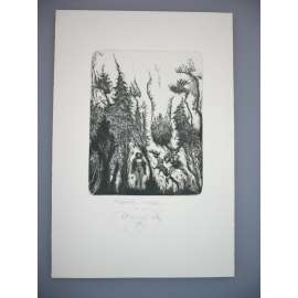 Albín Brunovský (1935-1997) - Škandál v lese(1991) - grafika (lept, podpis)