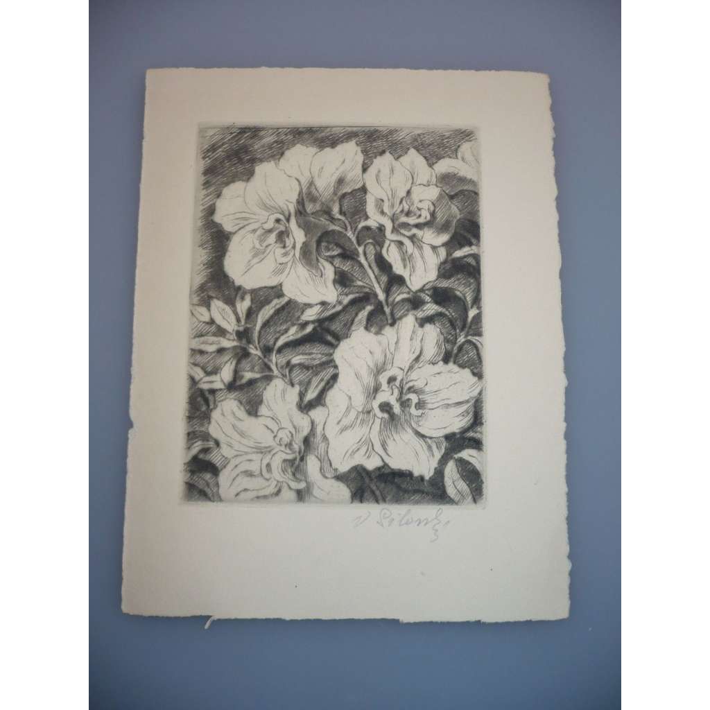 Vladimír Silovský (1891 - 1974) - Květy - Lept, signovaná grafika