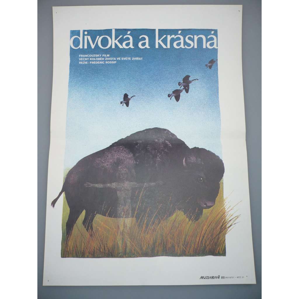 Divoká a krásná (filmový plakát, papírová fotoska, slepka, film Francie 1984, režie Frédéric Rossif, Jean-Charles Cuttoli, Hrají: Richard Berry (vypravěč))