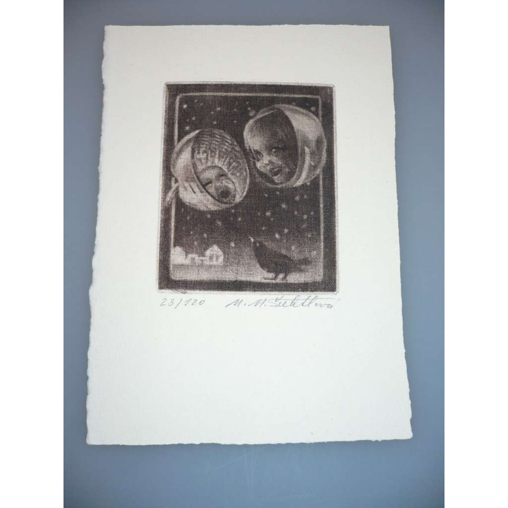Marie Michaela Šechtlová (1952) - Havran - Mezzotinta, signovaná grafika