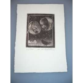 Marie Michaela Šechtlová (1952) - Havran - Mezzotinta, signovaná grafika