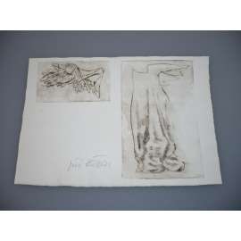 Jiří Kašpar (1948) - Suchá jehla, signovaná grafika