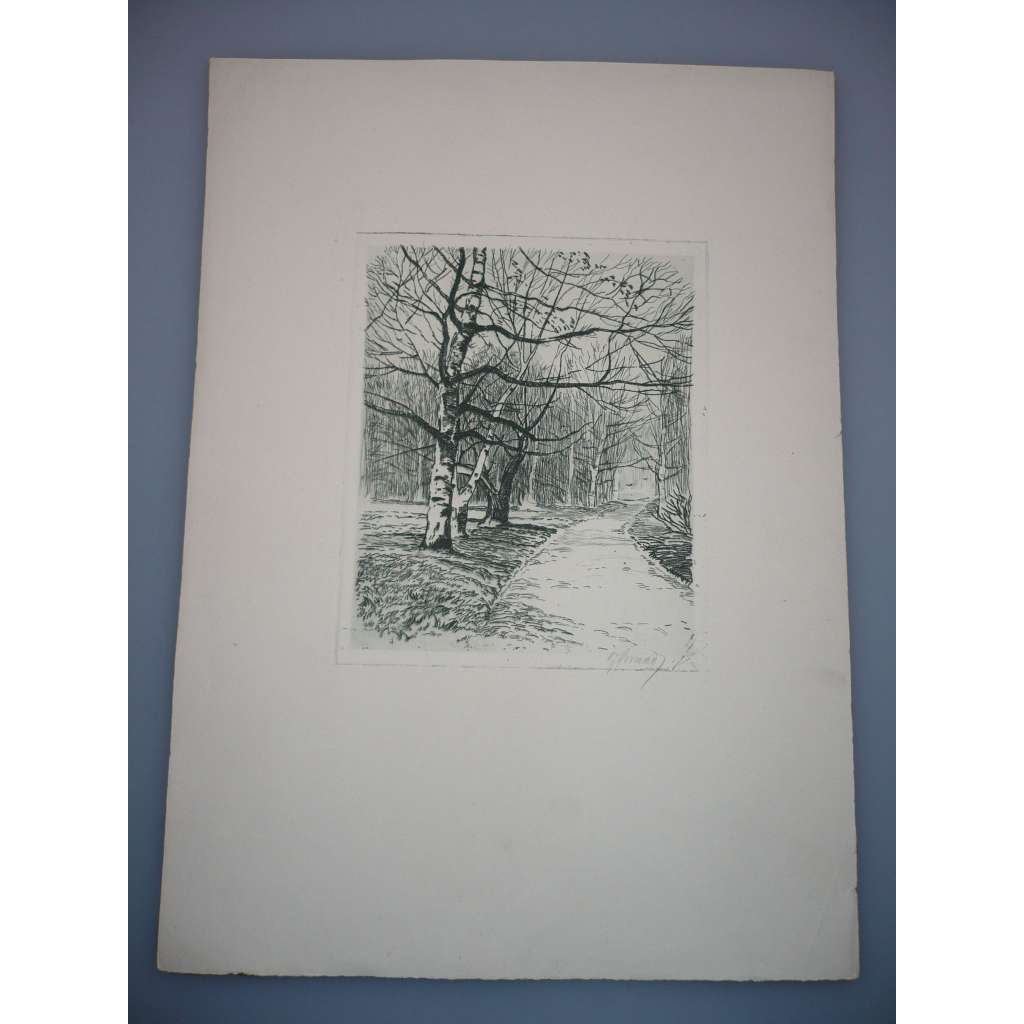 Josef Strnad (1889 - 1957) - Břízy - Lept, grafika