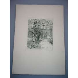 Josef Strnad (1889 - 1957) - Břízy - Lept, grafika