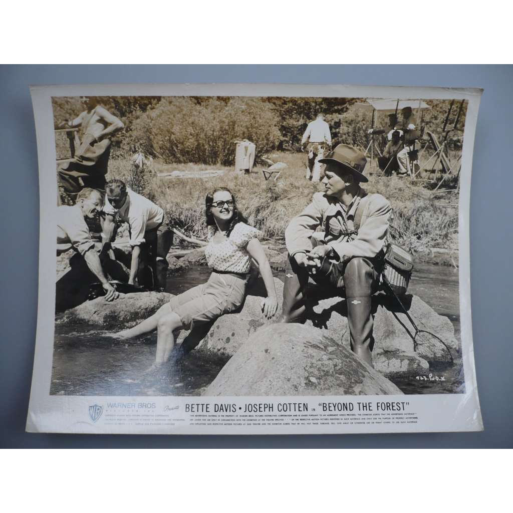 Fotoska - Tam za lesy / Beyond the forest (film USA 1949, režie King Vidor, Hrají: Bette Davis, Joseph Cotten, David Brian) - ORIG. CINEMA-PHOTO