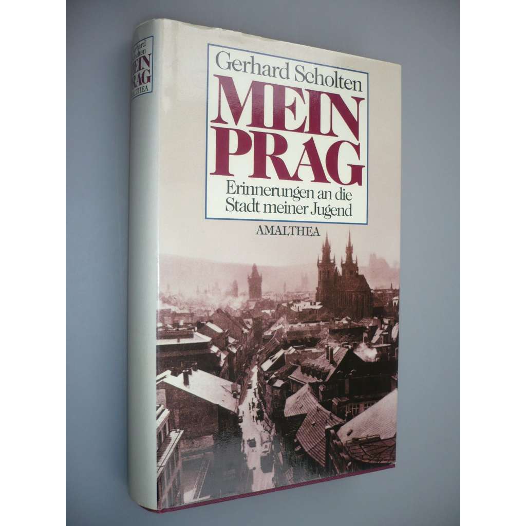Mein Prag. Erinnerungen an die Stadt meiner Jugend (Praha, město)
