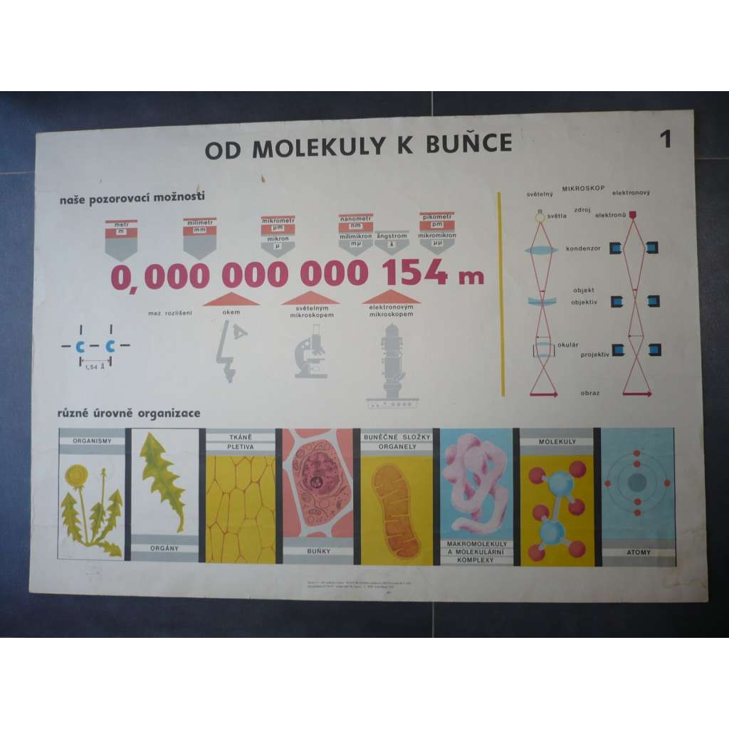 Od molekuly k buňce - přírodopis - školní plakát, výukový obraz