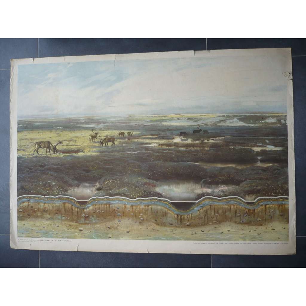 Krajina a půdní typ - Zdeněk Burian - Tundrová půda - přírodopis - školní plakát, výukový obraz