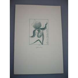 Josef Herčík (1922 - 1999) - Maudiae Paphiopedilum - oceloryt, grafika, signováno