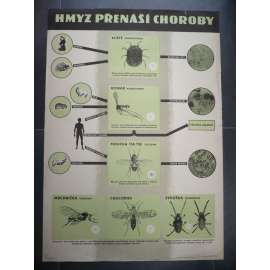 Hmyz přenášející choroby - komár, muchnička, sviluška, moucha tse-tse, klíště - přírodopis - školní plakát, výukový obraz