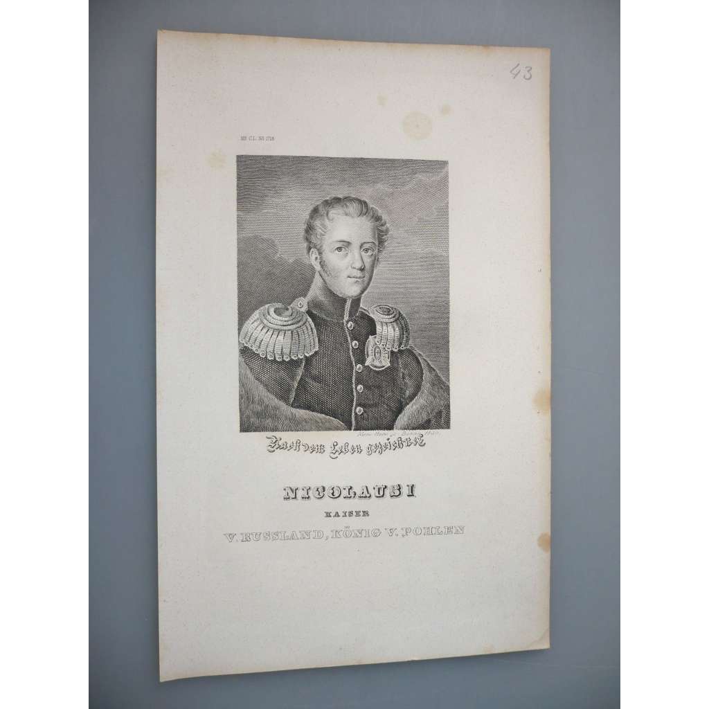 Nikolaus I., kníže Esterhózy - oceloryt cca 1850, grafika, nesignováno