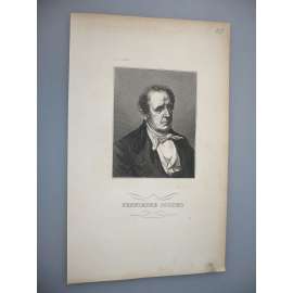 Fennimore Cooper, americký spisovatel - oceloryt cca 1850, grafika, nesignováno