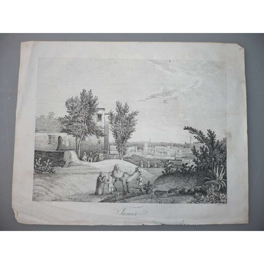 Tunis - rytina cca 1840, grafika, nesignováno