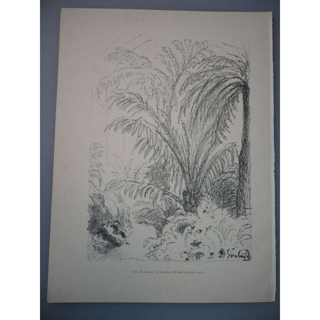 Max Švabinský (1873 - 1962) - Ve skleníku - litografie 1930, grafika, nesignováno