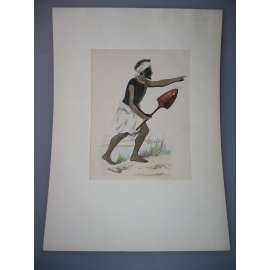 Válečník z Tonga - kolorovaný dřevoryt 1845, grafika, nesignováno