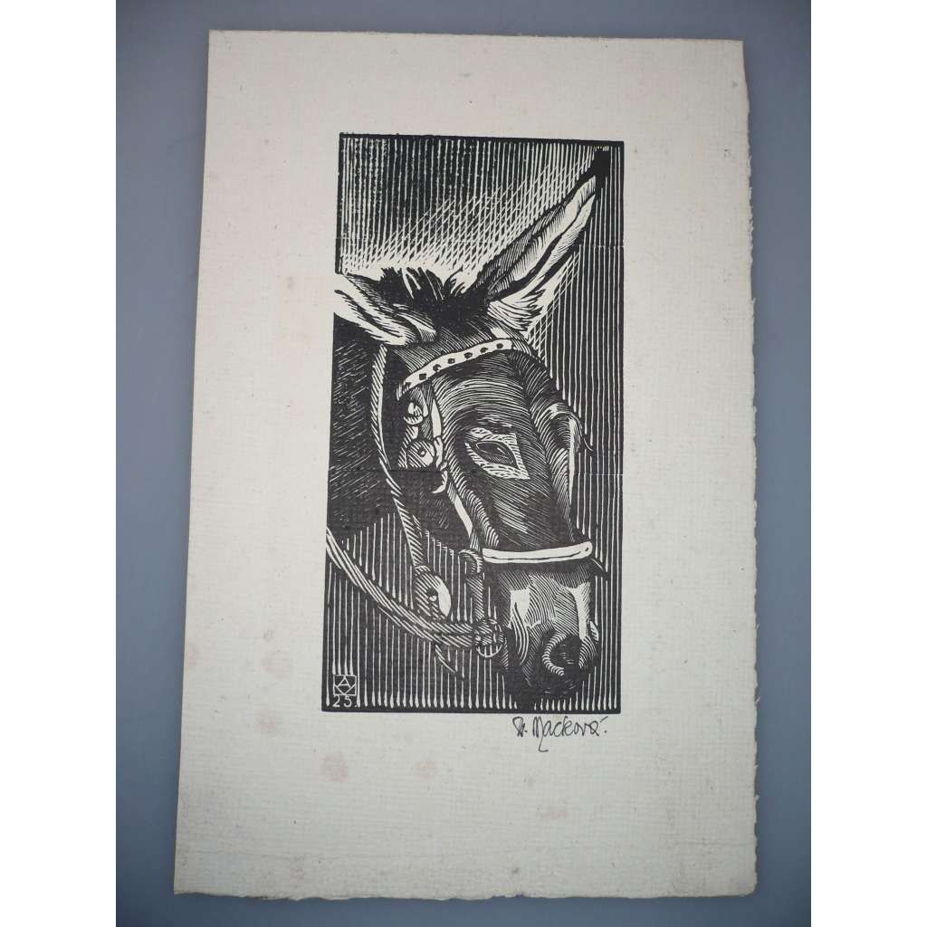 Anna Macková (1887 - 1969) - Kůň - dřevoryt 1925, grafika, signováno
