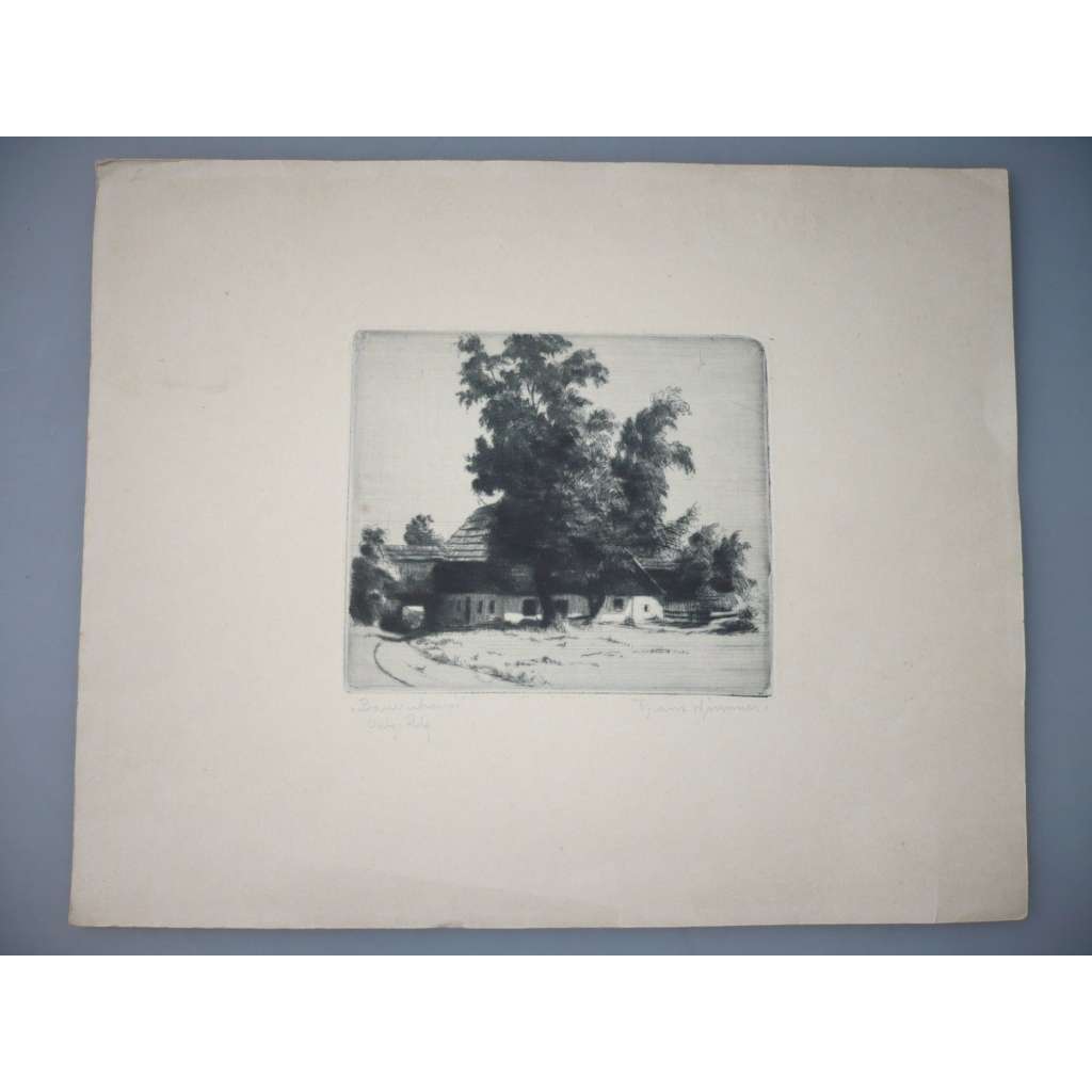 Franz Wimmer (1892 - 1974) - Dům pod stromy - lept, grafika, signováno