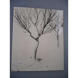 Josef Prošek - Zima stromů - [jedna fotografie ze souboru Fotografie 1928-1958]