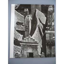 Jiří Jeníček - Střechy - [jedna fotografie ze souboru Fotografie 1928-1958]