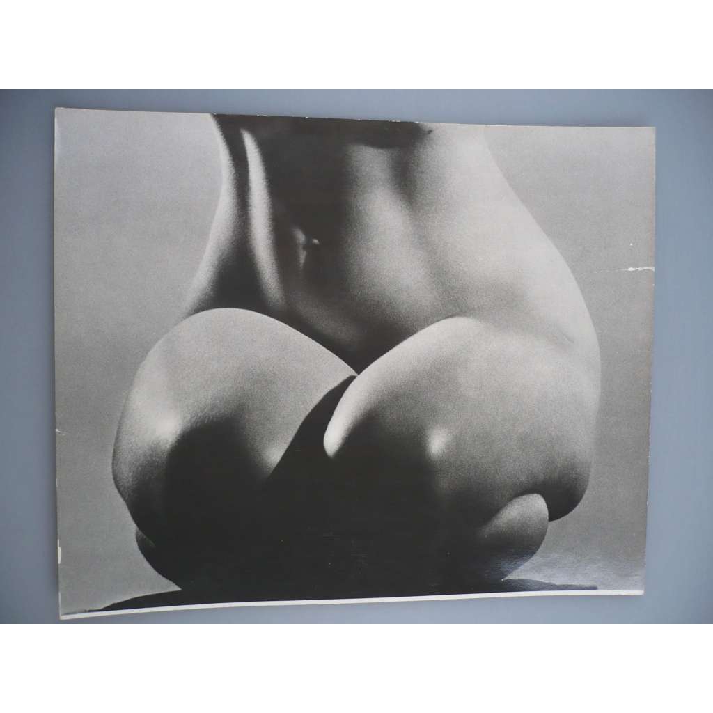 Karel Ludwig - Detail - [jedna fotografie ze souboru Fotografie 1928-1958]