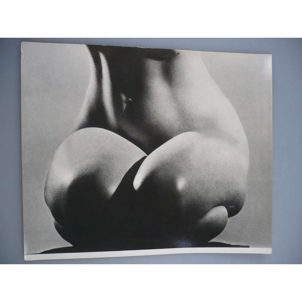Karel Ludwig - Detail - [jedna fotografie ze souboru Fotografie 1928-1958]