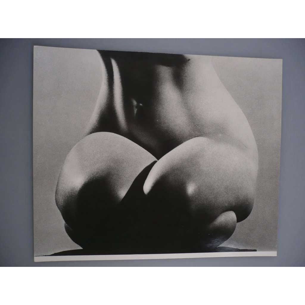 Karel Ludwig - Detail - [jedna fotografie ze souboru Fotografie 1928-1958]