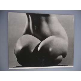 Karel Ludwig - Detail - [jedna fotografie ze souboru Fotografie 1928-1958]