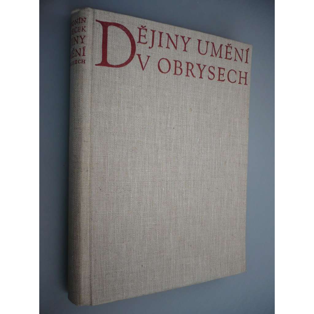 Dějiny umění v obrysech [malířství, sochařství, architektura; antika, Egypt, Řecko, Římská říše, románské umění, gotika, renesance, baroko; polokožená vazba - vazba kůže]