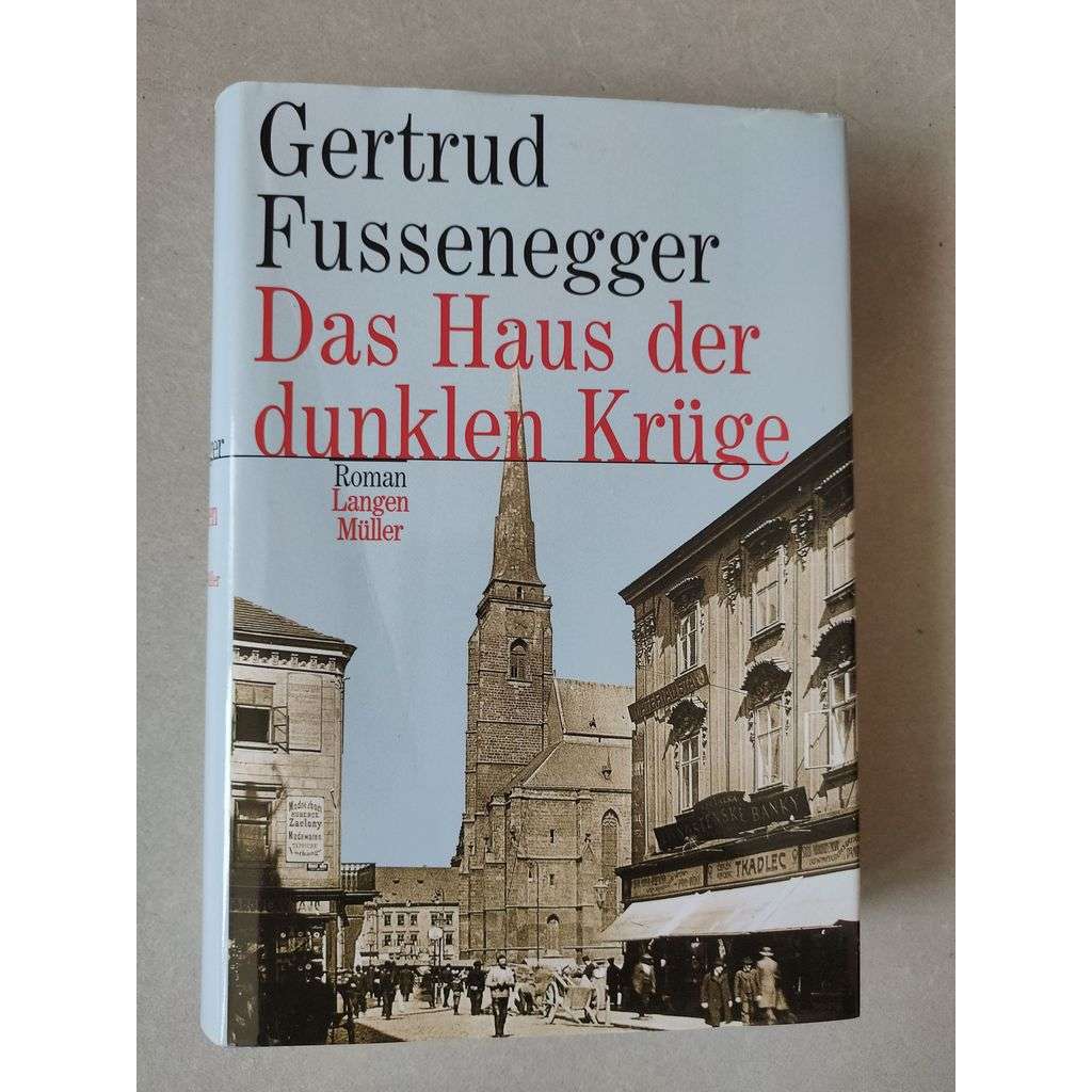 Das Haus der dunken Krüge [román]